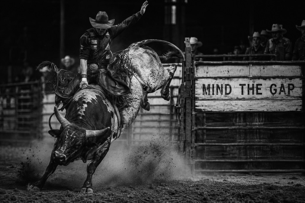 A rodeo rider holding on to a bucking bull in front of a gate painted with the words MIND THE GAP
